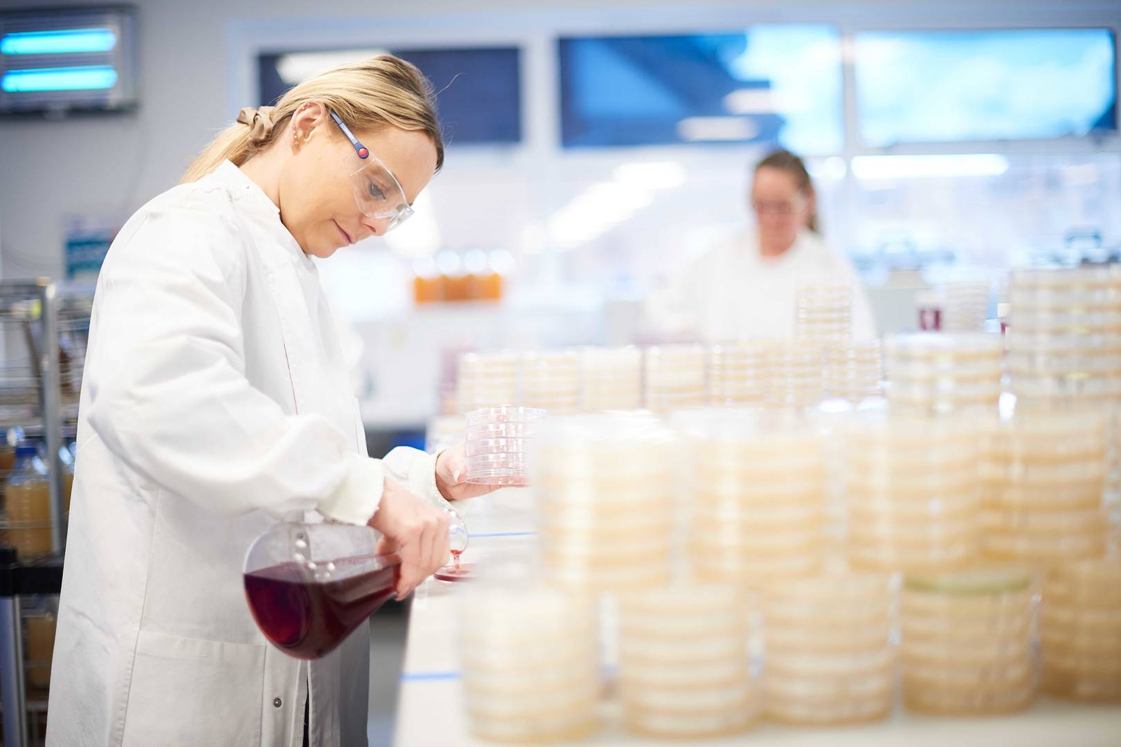 Laboratory technician conducting microbiological testing by preparing culture plates in a food testing laboratory environment. Show more lines