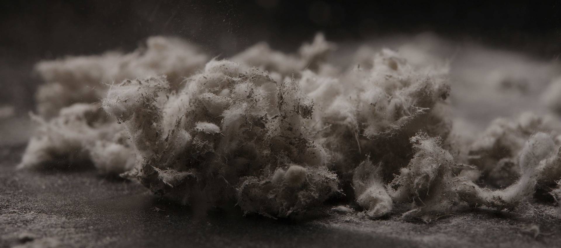 Asbestos