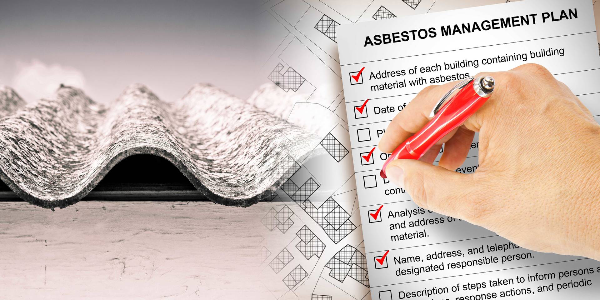 Asbestos management plans