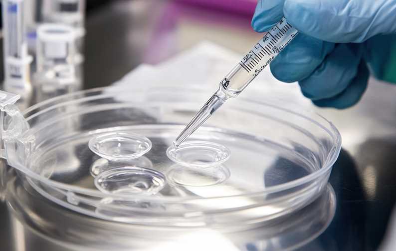 Dispositivos Médicos - Metodologias In Vitro