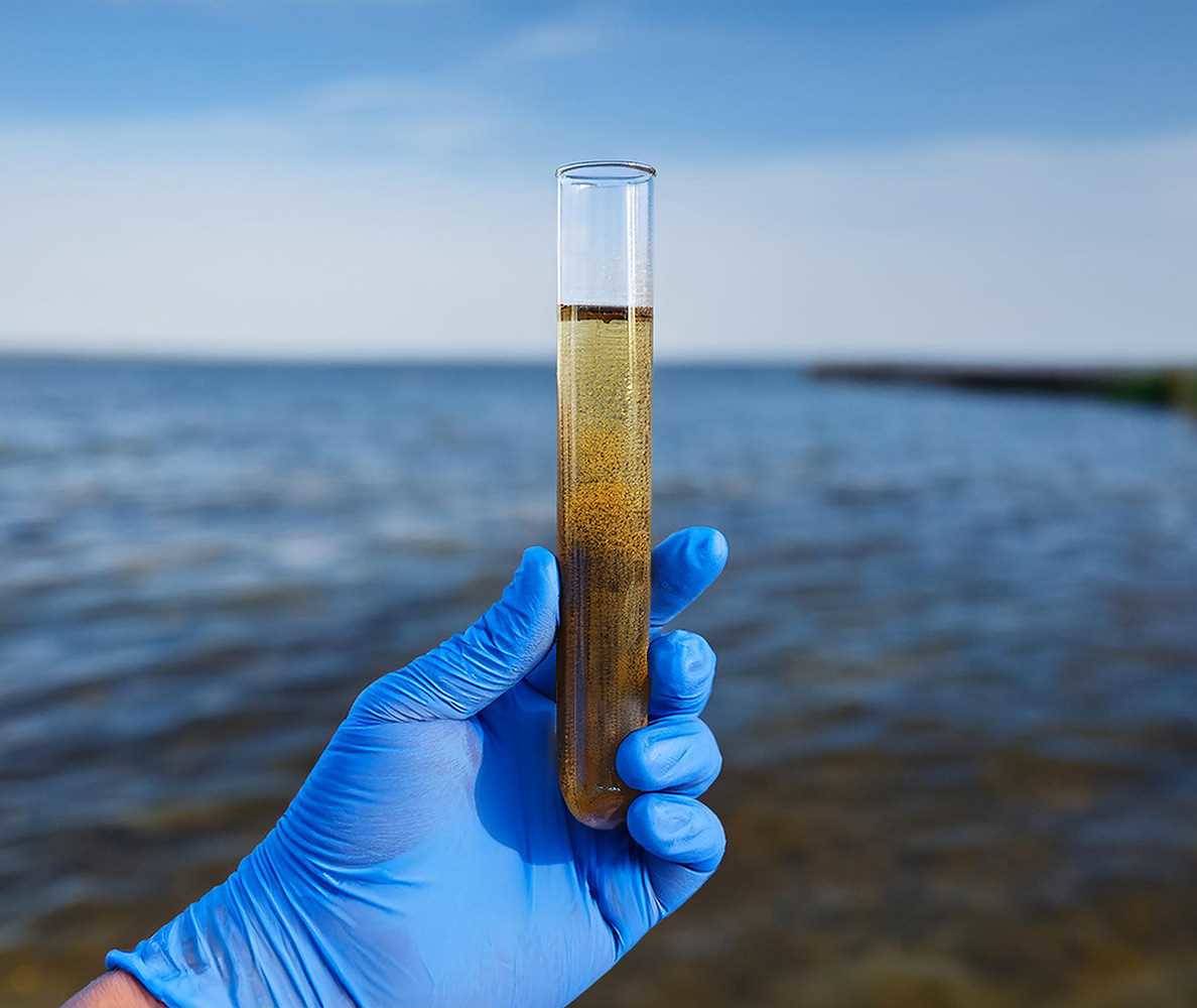 Estudos Ecotoxicológicos