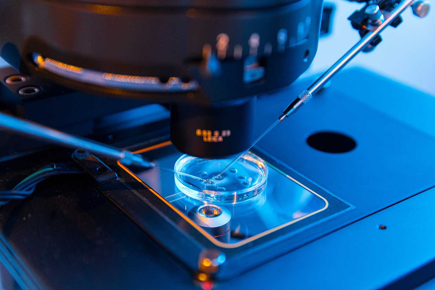 Microbiologia de saneantes