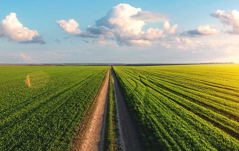 solutions for agrochemical and biological product studies