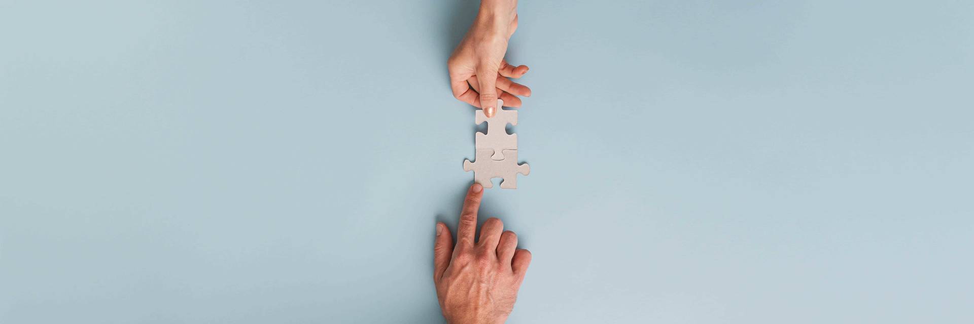 movus bg puzzle