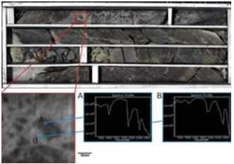 Hyperspectral Scanning