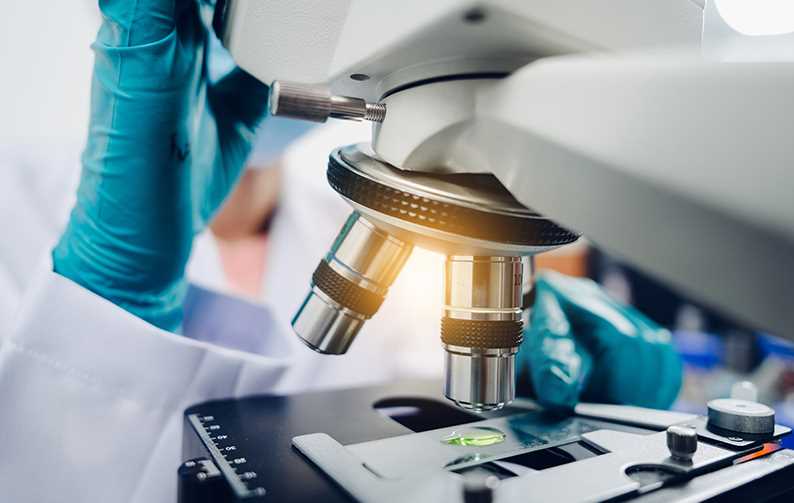 Scientist examines sample with a microscope in a laboratory