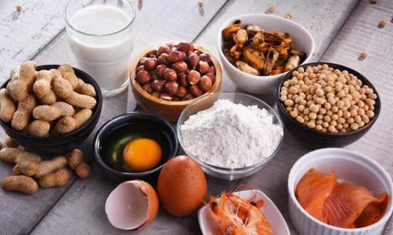 Çeşitli Gıda Alerjenleri Yer fıstığı, süt, fındık, midye, soya fasulyesi, yumurta, un, karides ve somon gibi çeşitli yaygın gıda alerjenleri.
