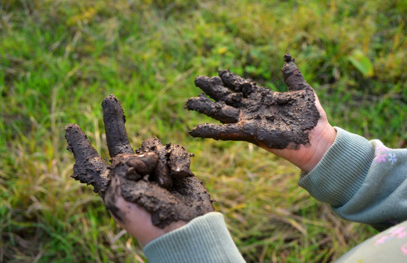 mud on hands