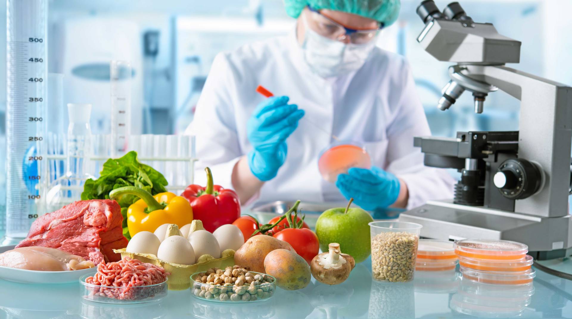 Labor Untersuchung von diversen Lebensmitteln: Fleisch, Gemüse, Nüsse, Eier, Obst