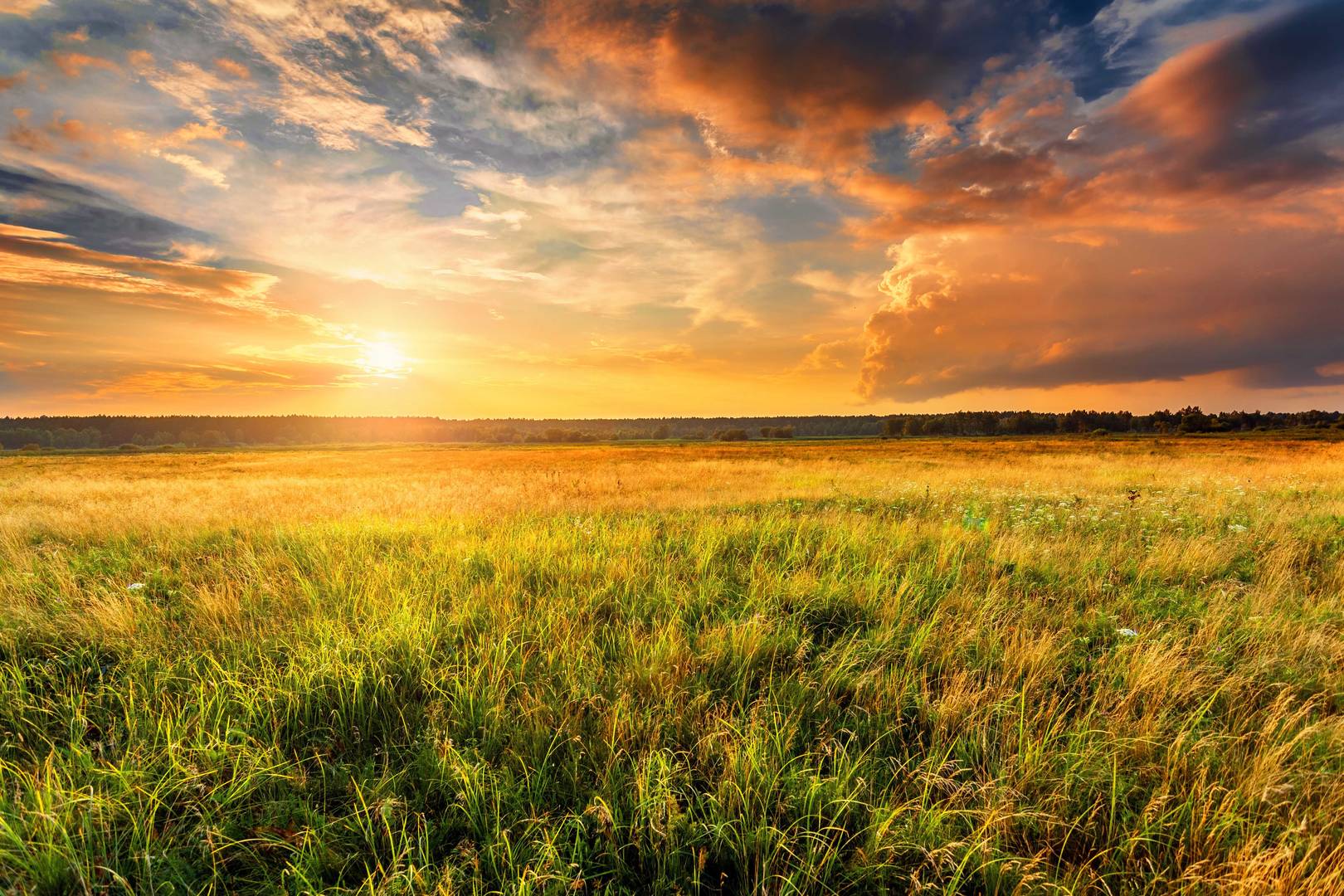paisagem natural com um pôr-do-sol vibrante