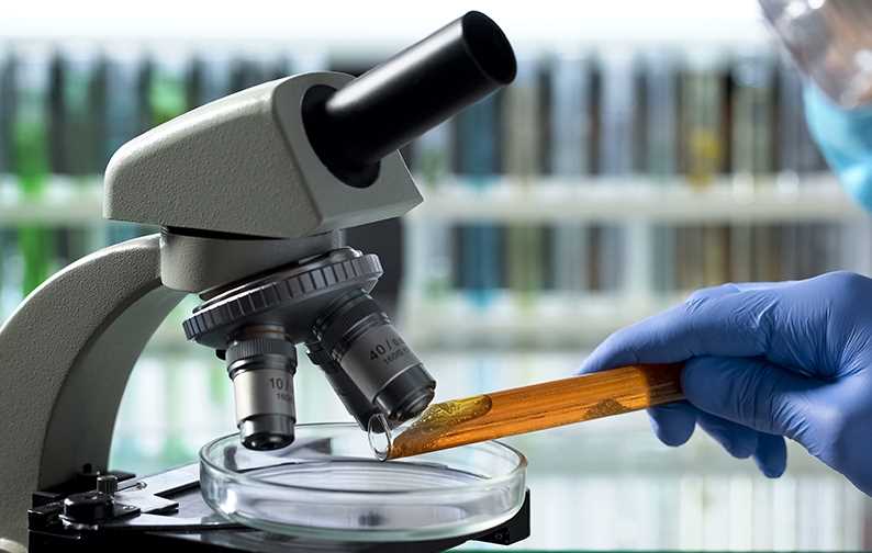 honey sample in test tube poured into petri dish