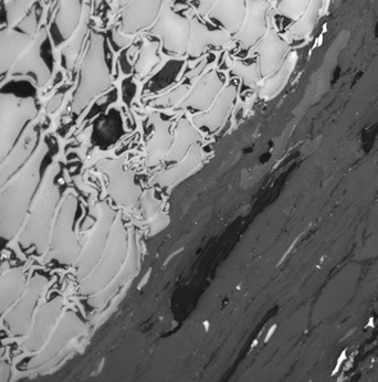 polished coal