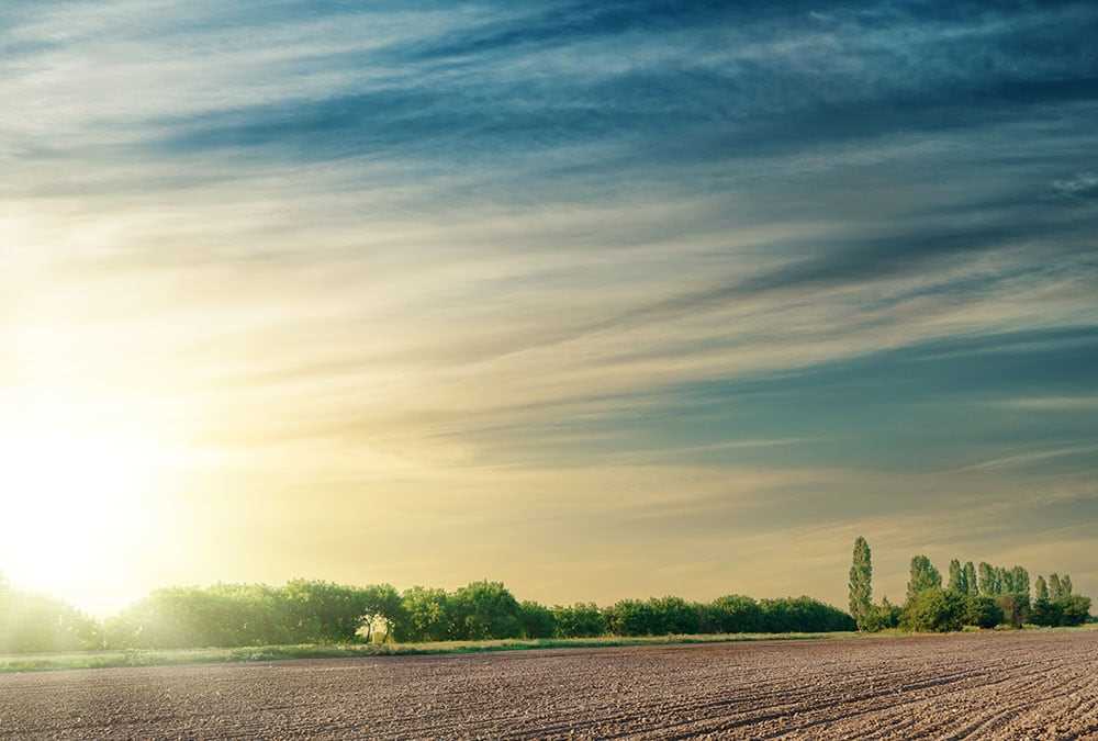 Ein weites Feld bei schönem Sonnenschein und leichten Wolken. Das Feld ist frisch bestellt. | Agrar