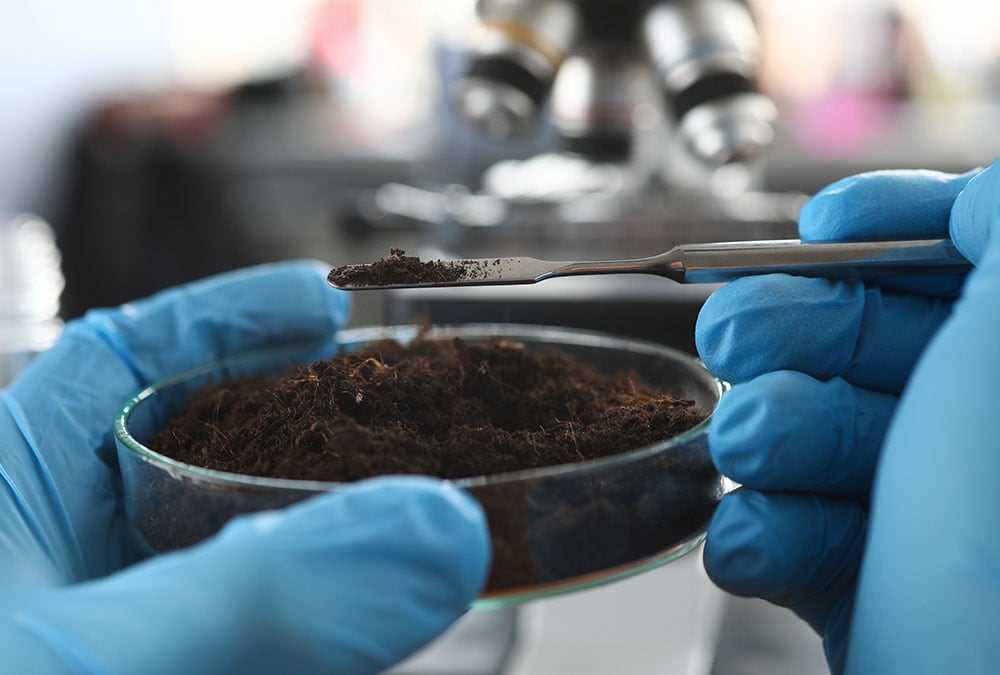 Carousel Scroll Item - soil in lab