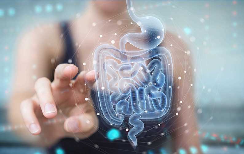 woman reaching towards screen of digital display of gut microbiome