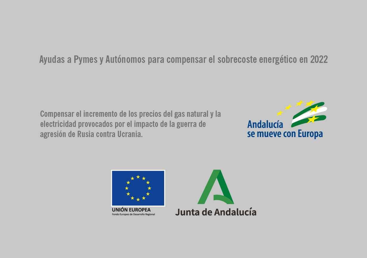 Placa A3 ayudas JDA