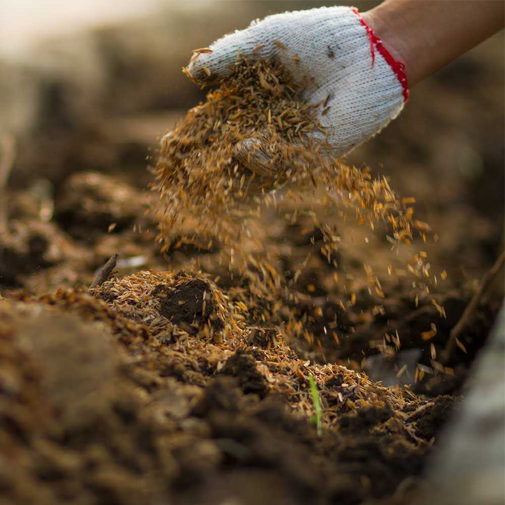 Kompost wird auf ein Feld gestreut | Kompost | Duenger | Agrar