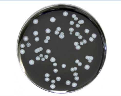EM0661 Fig 1