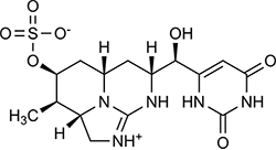 Cylindrospermopsin molecule