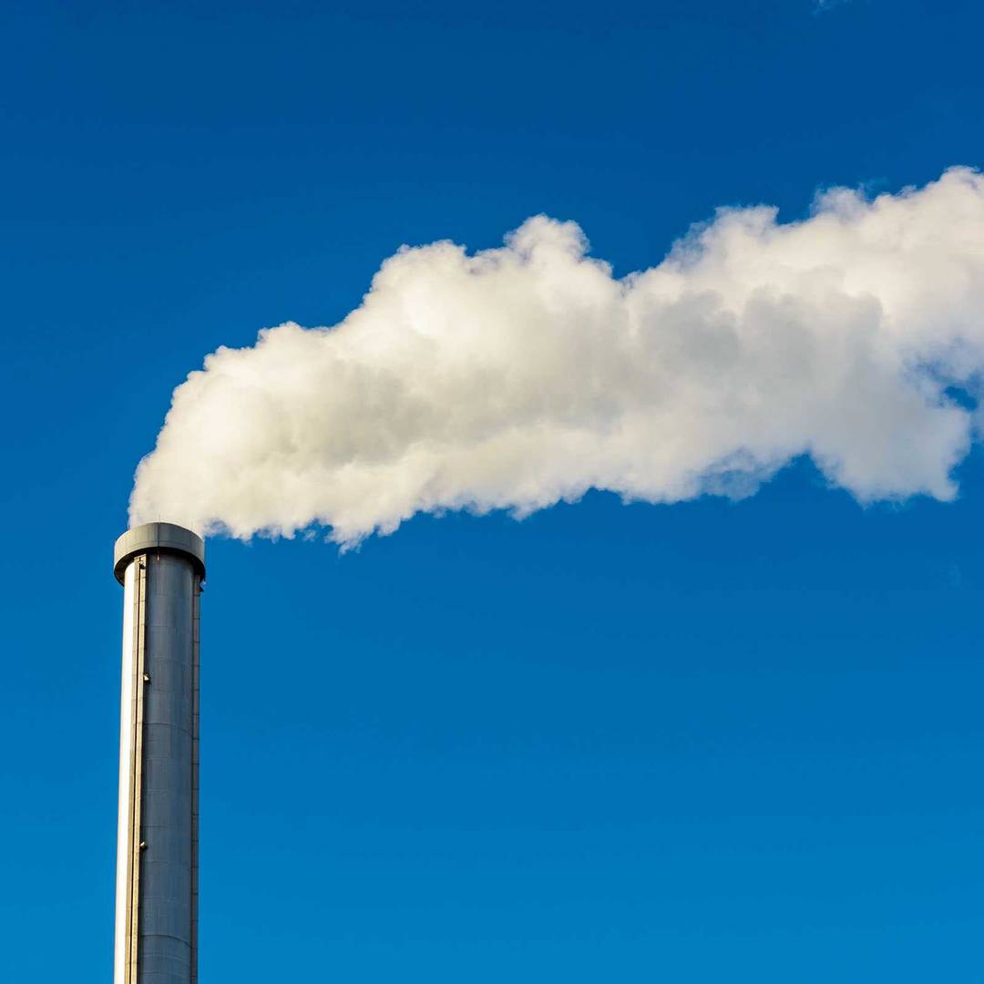 dioxins combustion