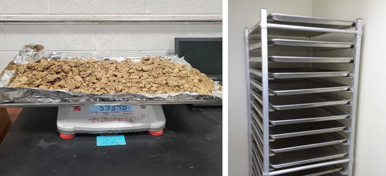 Picture 1: Drying sample and drying rack