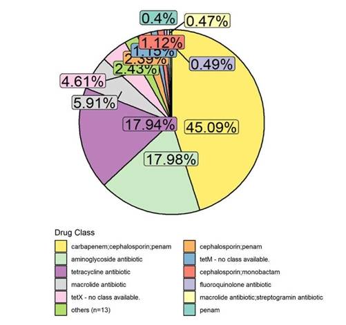 Figure 1 Pie chart of drug class relative abundances