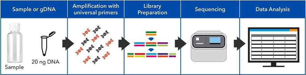 Fig 3 Test approach
