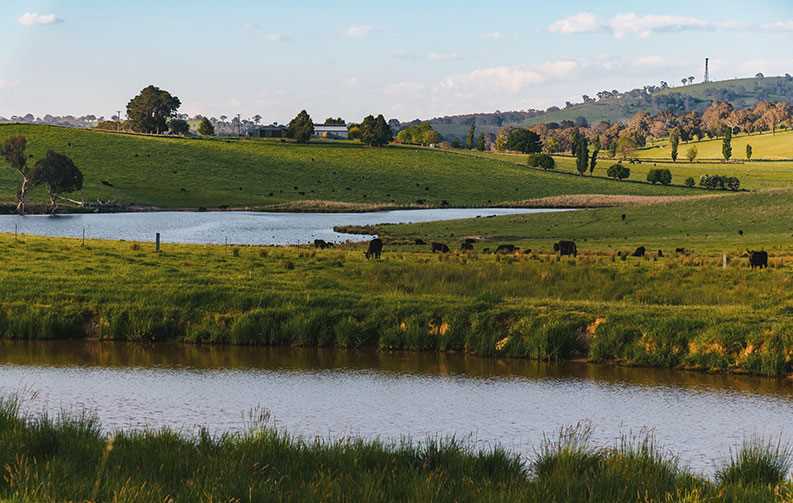 Landscape, body of water and fields