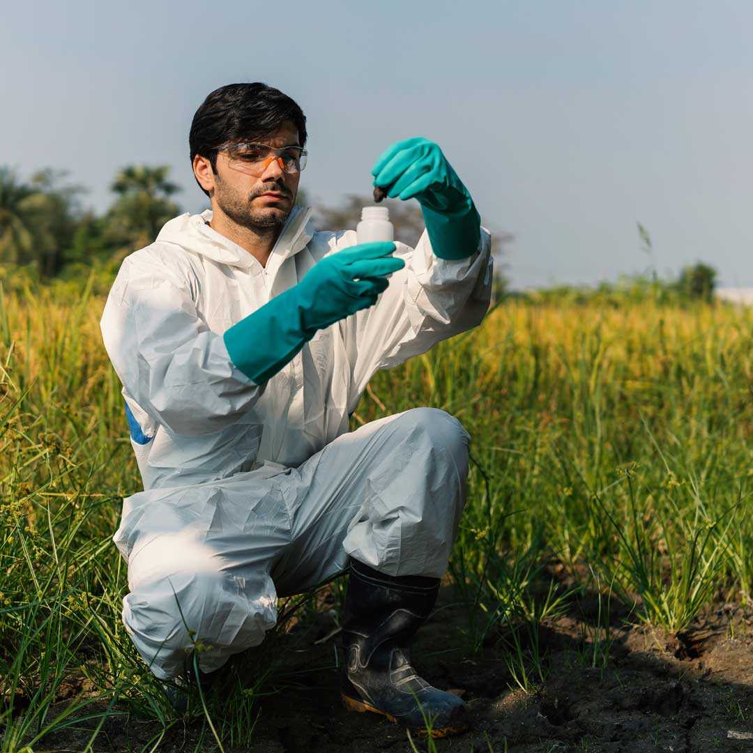 Feld sampling of soil