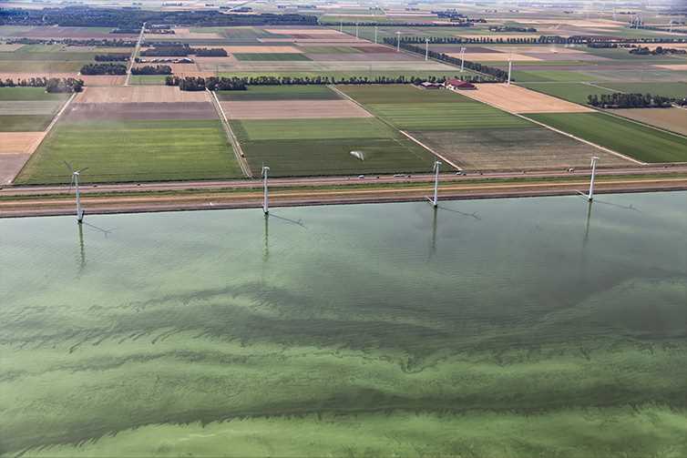 Figure 1. Nutrient buildup can cause eutrophication