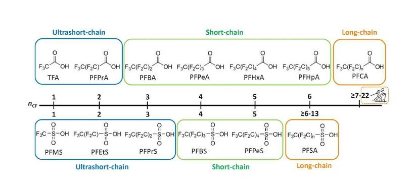  PFAS categorization based on chain length (image courtesy of Phenomenex & SCIEX)