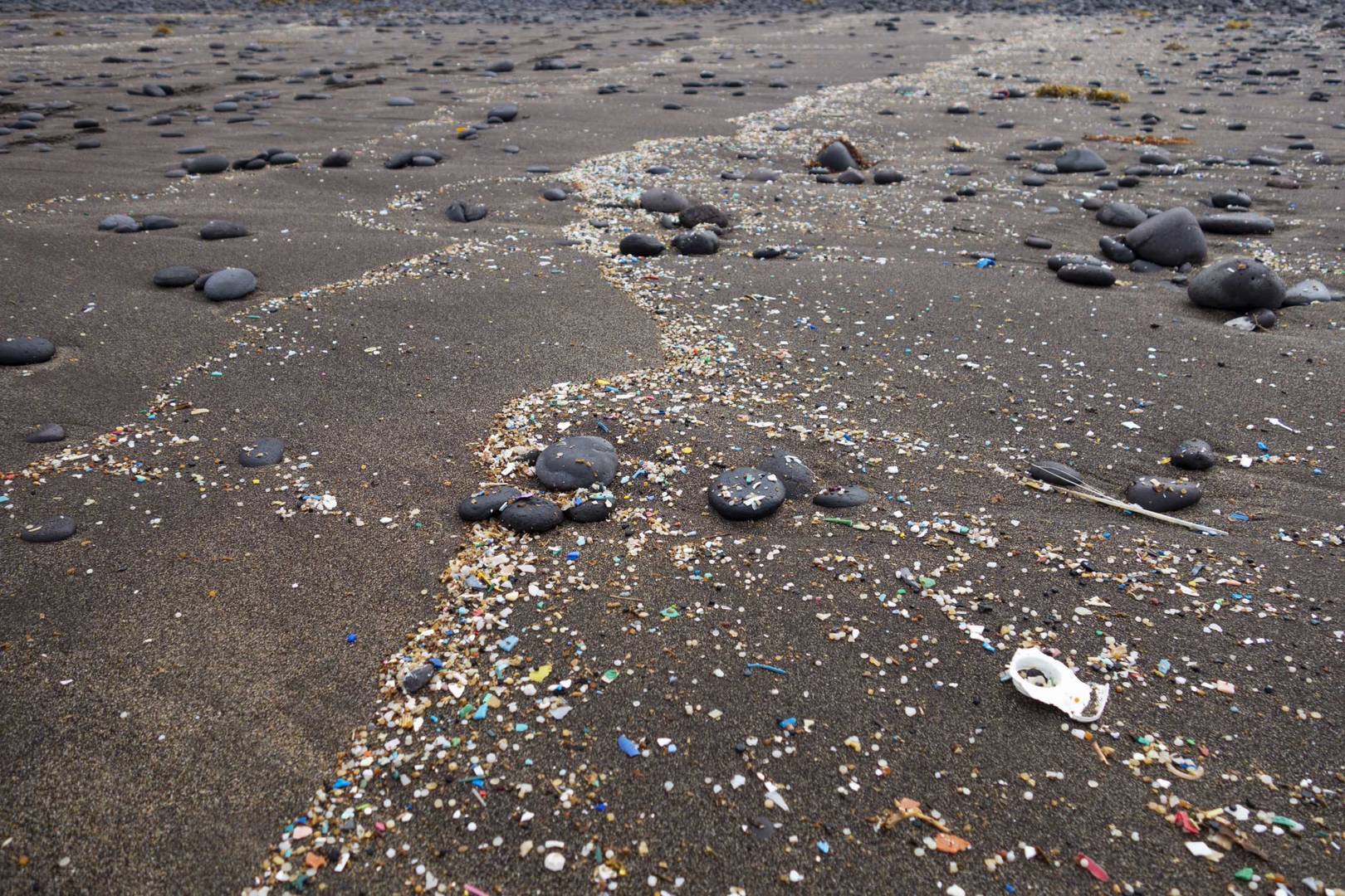 Microplastics on Beach