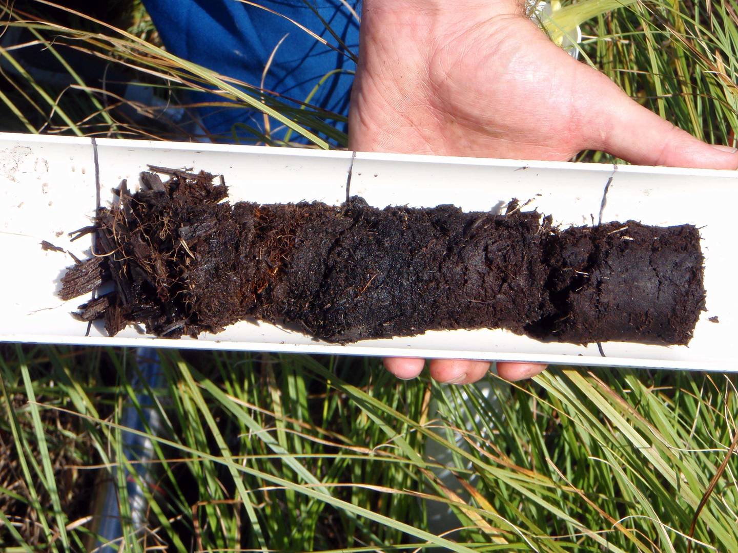 Fig 1. Peat soil averages 40-50% organic carbon