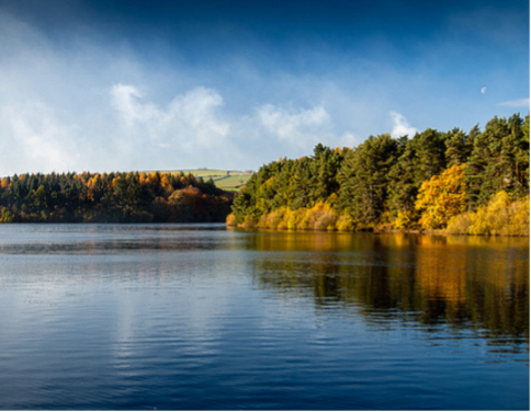 water reservoir