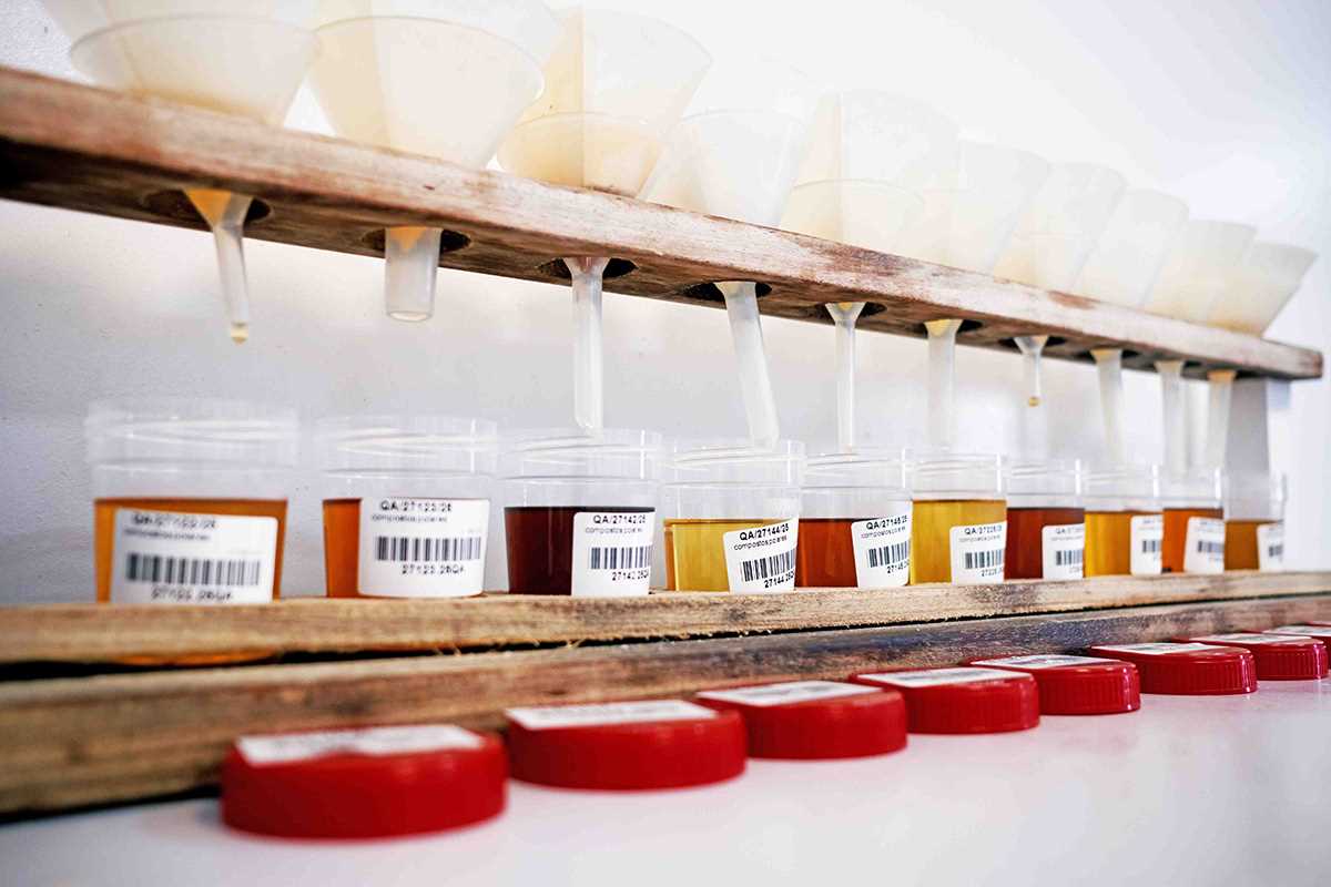 Funis de plástico filtrando amostras de óleo alimentar para recipientes etiquetados em ambiente laboratorial.