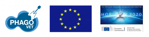 Logotipo do projeto PHAGOVET com uma seringa, bandeira da União Europeia com doze estrelas amarelas em fundo azul, e imagem promocional do programa Horizon 2020 com logotipos da Comissão Europeia e texto explicativo.