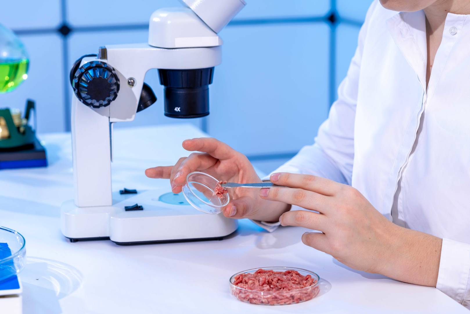 Žena v laboratoři pro kontrolu potravin zkoumající vzorky mletého masa na toxiny a parazity
