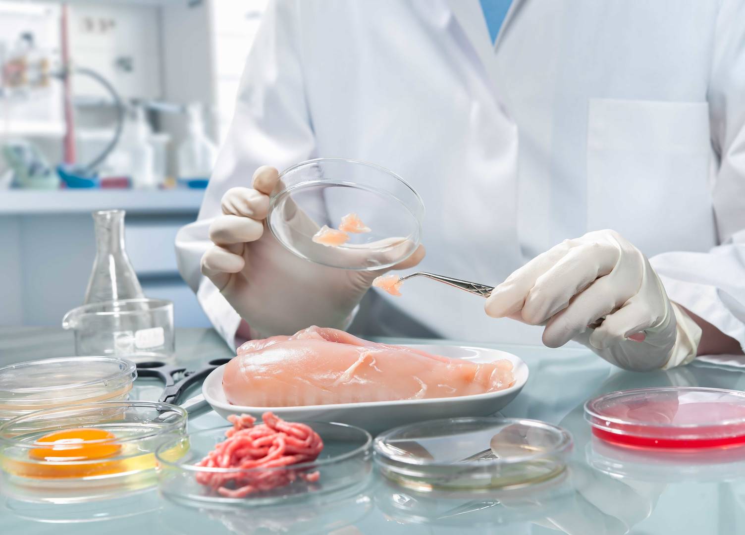 Specialista na kontrolu kvality kontrolující vzorek potraviny v laboratoři.