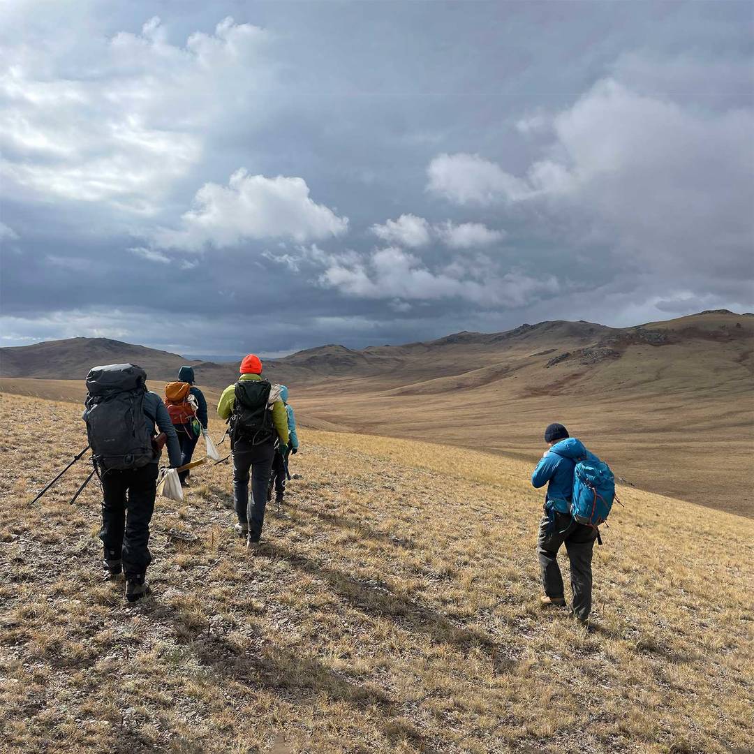 geochemistry exploration