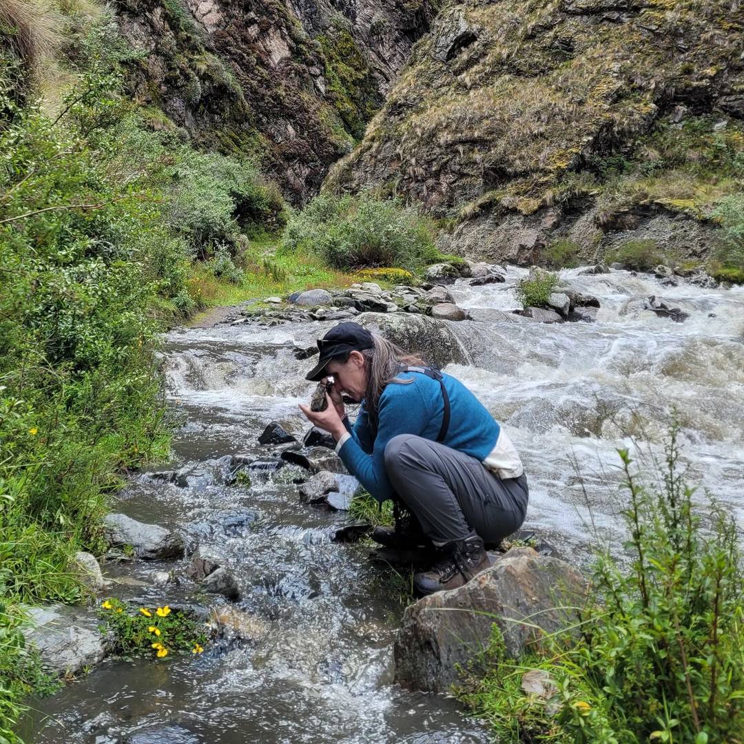 Experiencia en geociencias