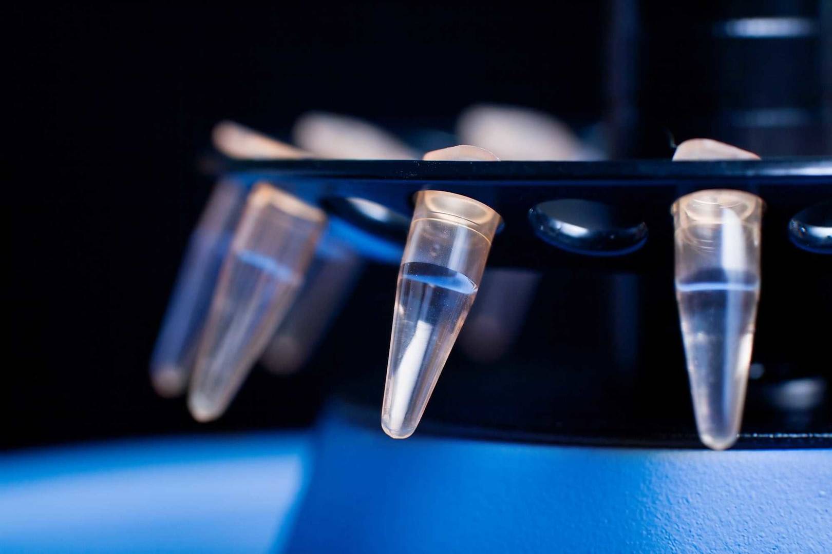 Provrör i provväxlare