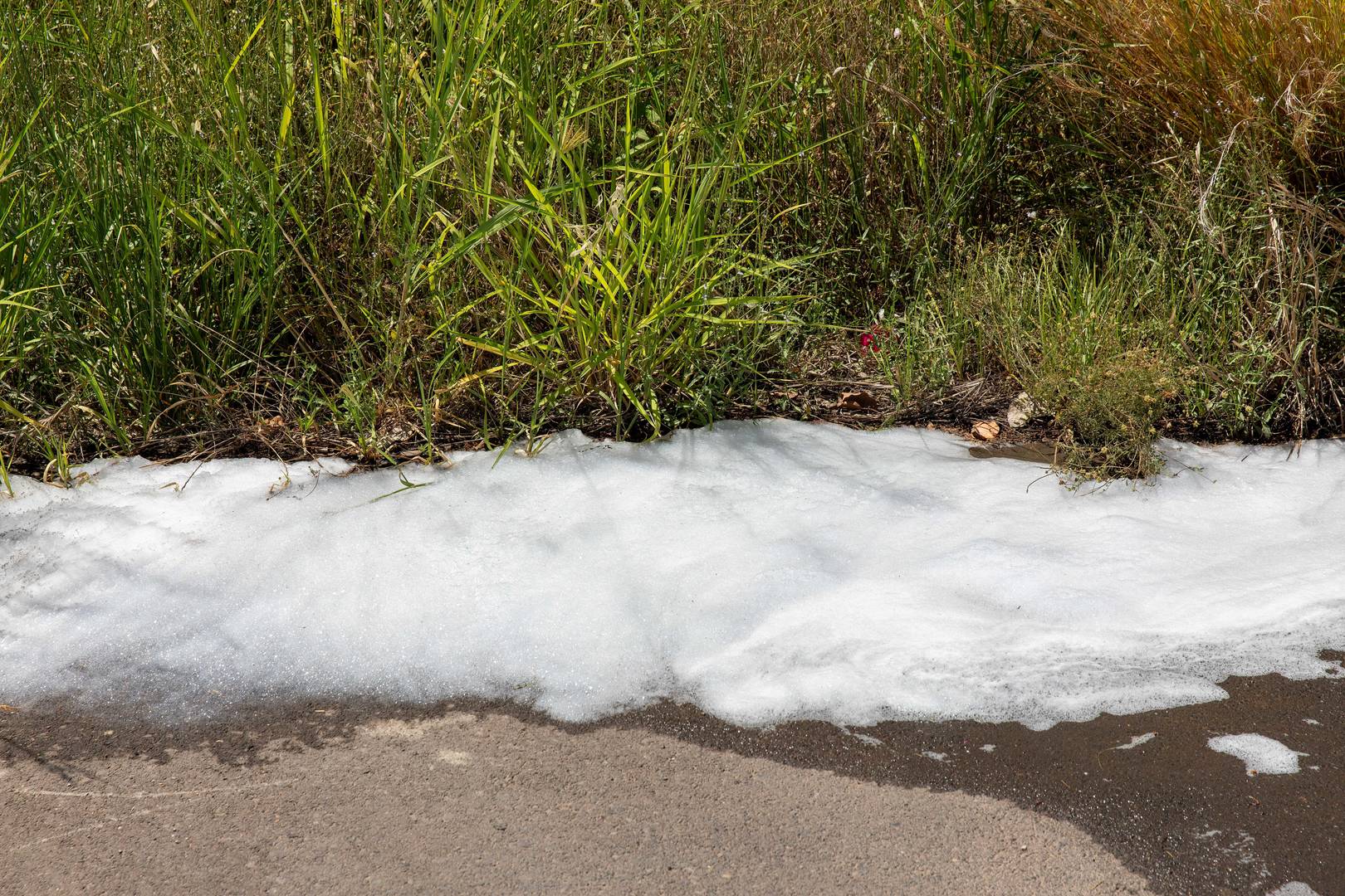 Löschschaum sammelt sich am Straßenrand neben Gras und Vegetation