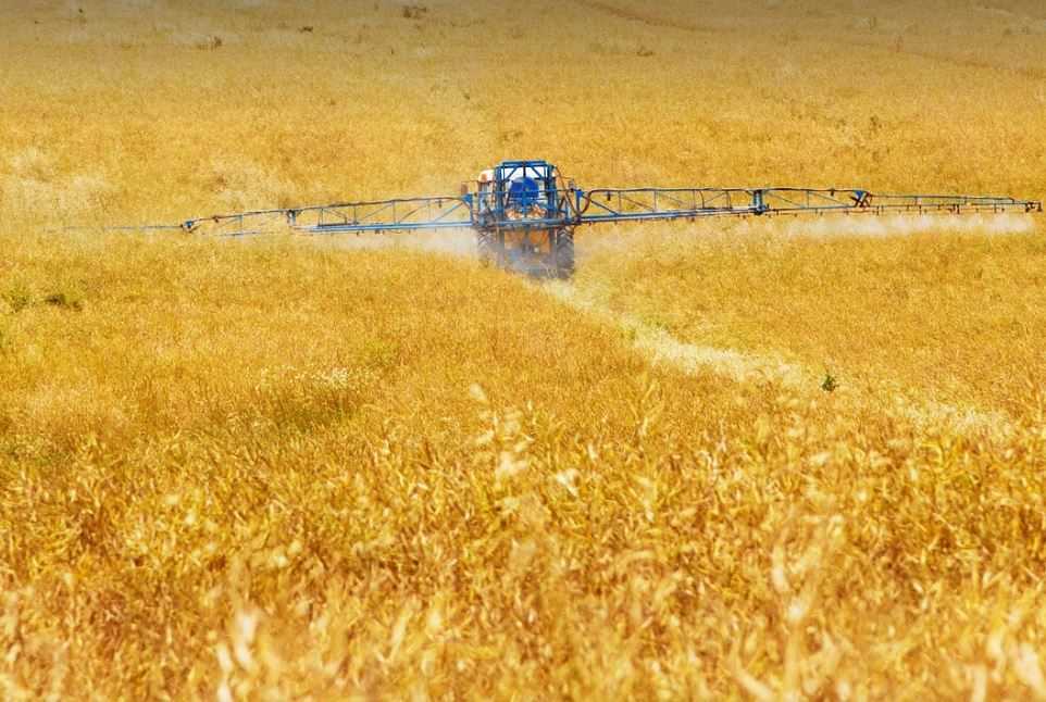 pesticider i næringsmiddel