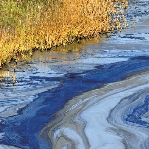 Oljeforurensning i vann