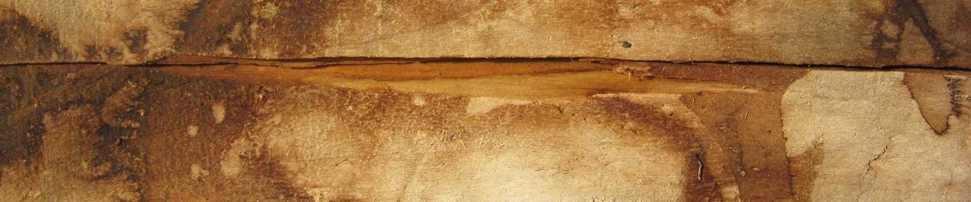 Bilde av råttent tre