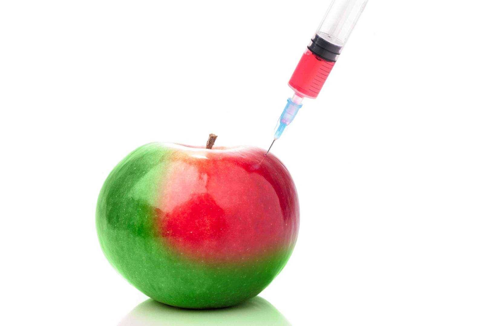 ALS Food GMO