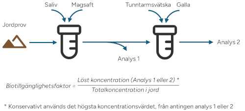 metodbeskrivning oral biotillgänglighet